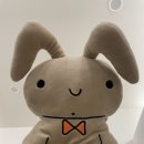 청주왁싱샵 봉명동 알니쥬왁싱 브라질리언 후기