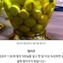 탱자효능(탱자먹는법, 탱자활용법) 이미지