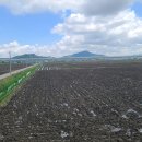 세일철강(주)아산공장 이미지