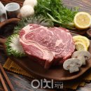 한우운송