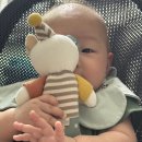 압소바 | 내돈내산 3개월 아기 압소바 딸랑이 후기