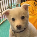 아띠라미 이미지