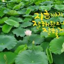 배터지게 먹소 이미지