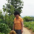 장구농장 이미지