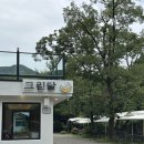 그린달 | 아이와 가기 좋은 연천 계곡 카페 그린달 방문 솔직 후기