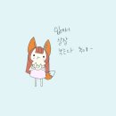 크리스피도넛롯데아울렛고양 이미지