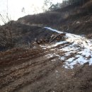 하이디 흑염소 농장 이미지