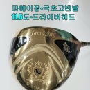 빅뱅 커스텀 골프 이미지