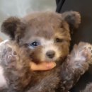 유라빌딩 이미지