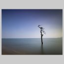 보성바다스토리리조트 이미지