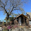 재인민박 이미지