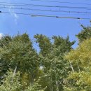 경주시서면도리보건진료소 이미지