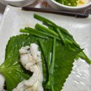 주말가족극장<나홀로 서커스> | [여행/광주•전남 2박 3일] 하류지락 지대론 - 낮은 곳에서 오는 즐거움이야말로 큰 근본이다.