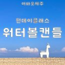 어바웃제주 이미지