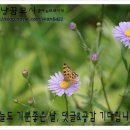 바이수 이미지