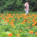 중흥2동 행정복지센터 이미지