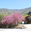 와룡산청룡사앞 이미지