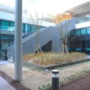 작은도서관놀이정원 이미지