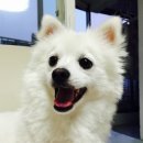 해동가축병원 이미지