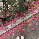 아이로운 태권도장 이미지