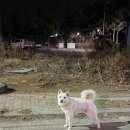 수현공업사 이미지