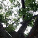 신기마을회관 이미지