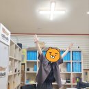 롤로(Rollo) 이미지