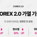 에이펙스리미티드