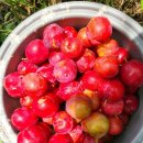 양산고기백화점 이미지