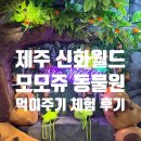 하겐다즈제주신화월드점 | [제주 서귀포] 제주 신화월드 카피바라와 먹이주기 체험 가능 '모모쥬 동물원 제주신화월드점' 후기