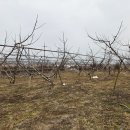 덕흥농장 이미지