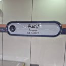 동묘시장 | 동묘시장 구경후기 🛍️ 보물찾기 같은 빈티지 쇼핑