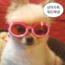 더로프트 민박 | 💍W-25 배낭여행 같은 신혼여행 ! 총정리 (feat.이스프영)