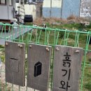 남해-38 | 남해 독립서점 카페 흙기와 힐링 방문 후기