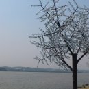 경포13호 네이버블로그