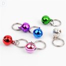 대성애견 이미지