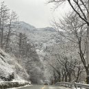 조동1길 네이버블로그