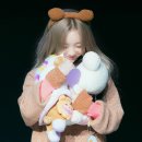 케잌판다 이미지
