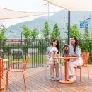 펫인더파크 이미지