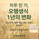 오행생식 - 대덕구 홍도로125번길 10 | 🌿 오행생식 1년 섭취 후기 — 자연의 오행이 내 몸을 바꾸다