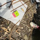 수정자연유치원 이미지