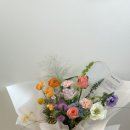 유수플레르 이미지