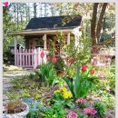 나만의 별채 이미지