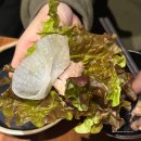 더맛있는족발보쌈 경기 과천점 | 용인 보정동 맛집 ‘더맛있는족발보쌈 보정점’ 후기