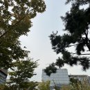 [마곡 뷰티] 디어아이즈- 내돈내산 브라질리언 왁싱 후기