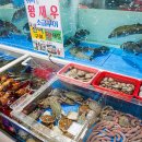덕성횟집 - 창원시 마산합포구 어시장3길 20 | 덕성횟집