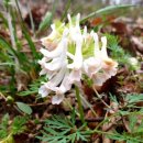 캠핑하우스 이미지