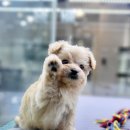 플레이독 파주본점 이미지