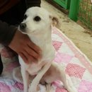 연희농장 이미지