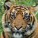 온누리생활한복 이미지